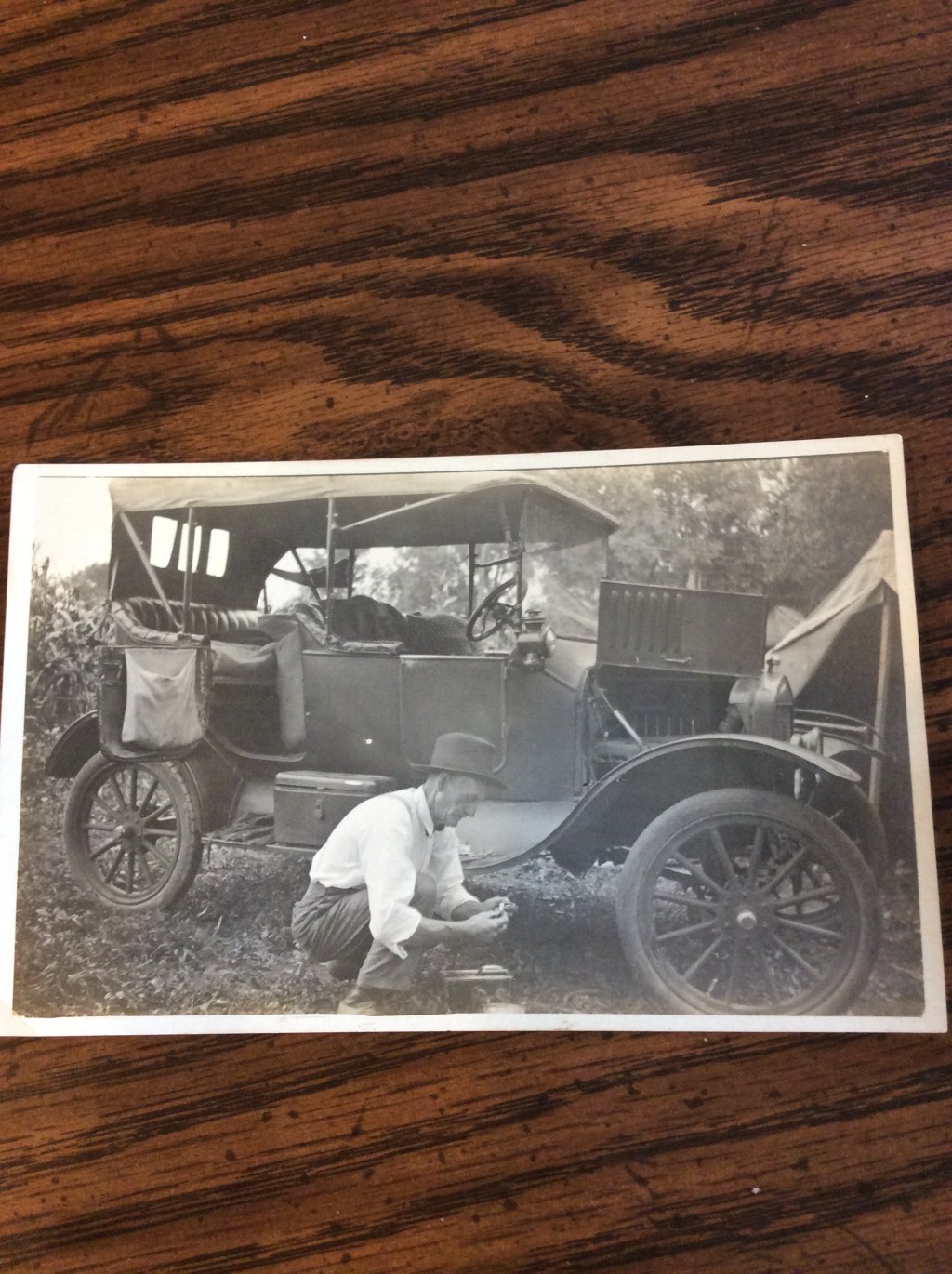 Wagon Trains &&nbsp;Buckypaper